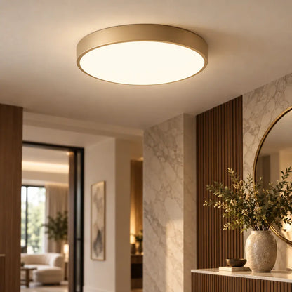 Circle Semi Flush Ceiling Light Fixture For Living Room