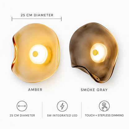 Japandi Organic Glass Wall Light
