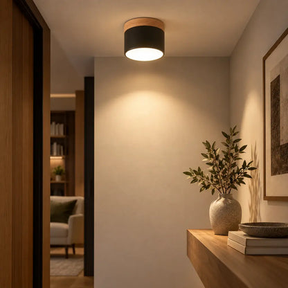 Nordic Small Flush Mount Ceiling Spot Light