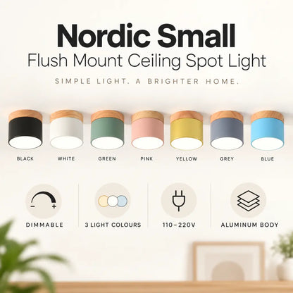 Nordic Small Flush Mount Ceiling Spot Light