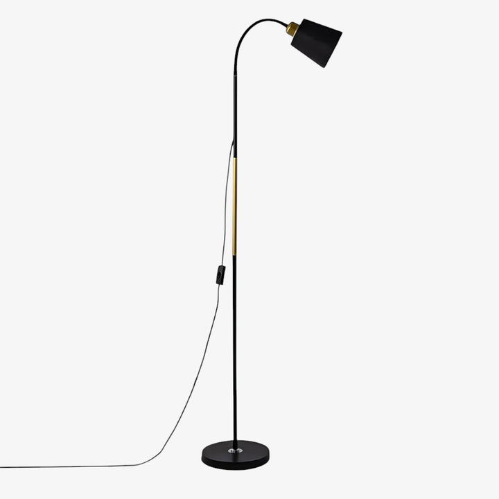 Standing Floor Lamp with Adjustable Lamp Head