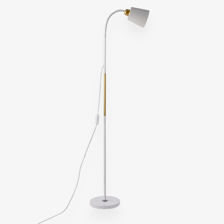 Standing Floor Lamp with Adjustable Lamp Head