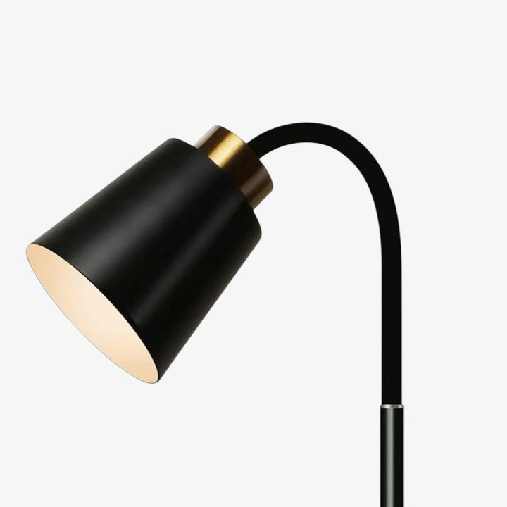 Standing Floor Lamp with Adjustable Lamp Head