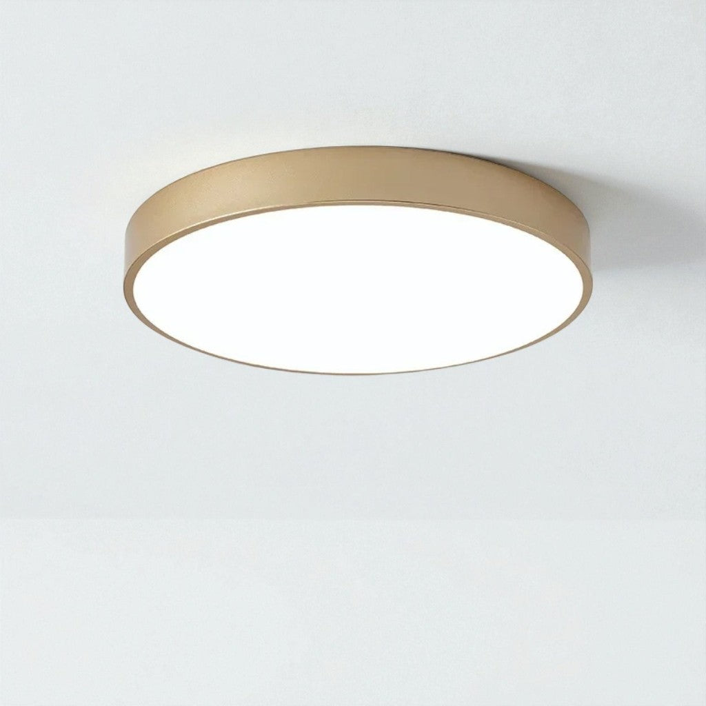 Circle Semi Flush Ceiling Light Fixture For Living Room