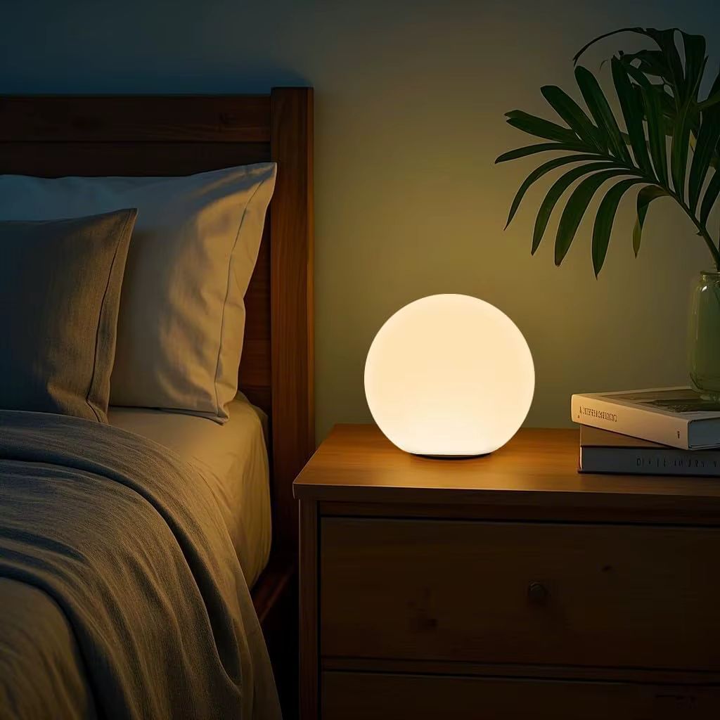 Cordless LED Globe Moon Table Lamp