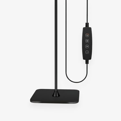 Dimmable Gooseneck Floor Lamp with Adjustable Height Boldenn
