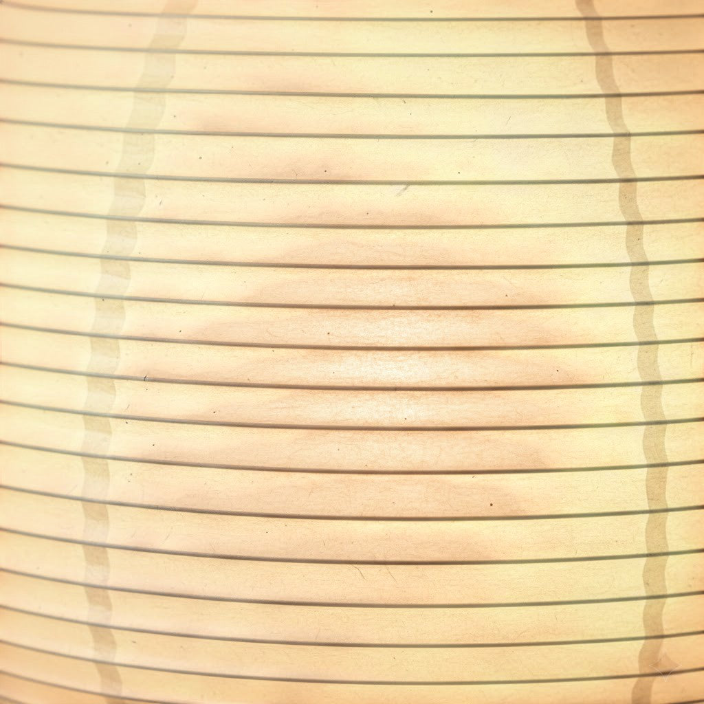 Japandi Rice Paper Tripod Floor Lamp