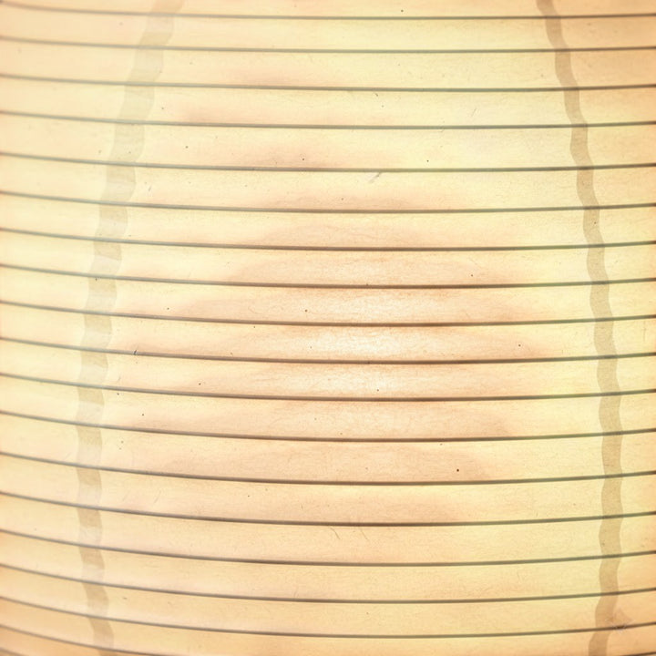 Japandi Rice Paper Tripod Floor Lamp