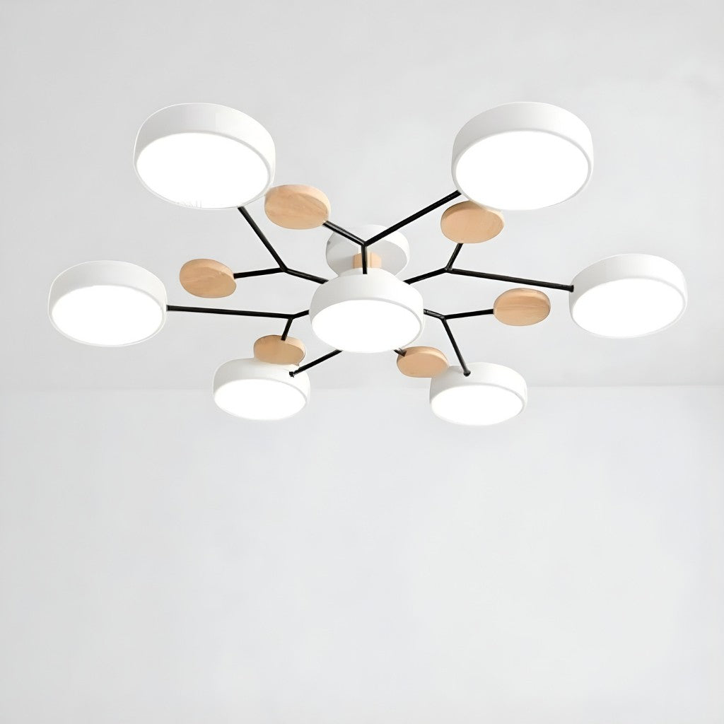 Orbitra Multi Head Circular Living Room Ceiling Light