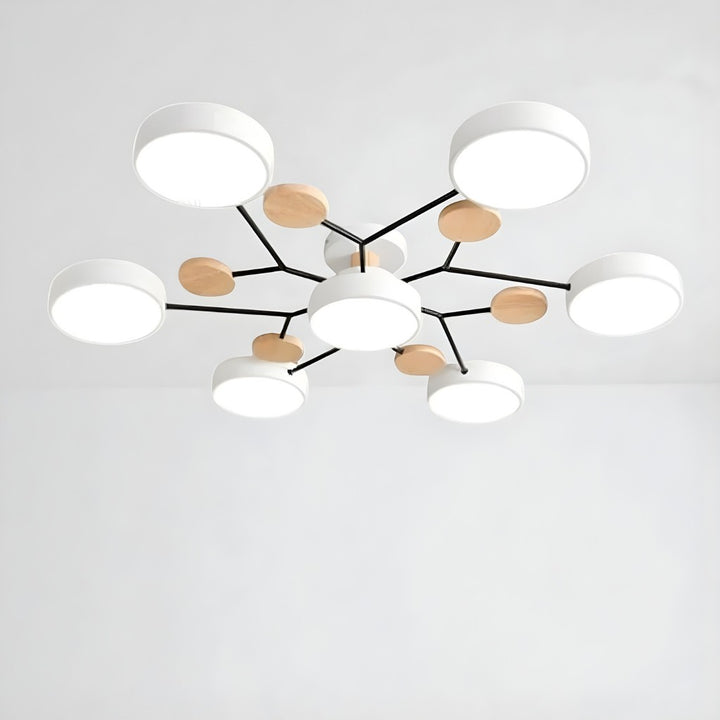Orbitra Multi Head Circular Living Room Ceiling Light