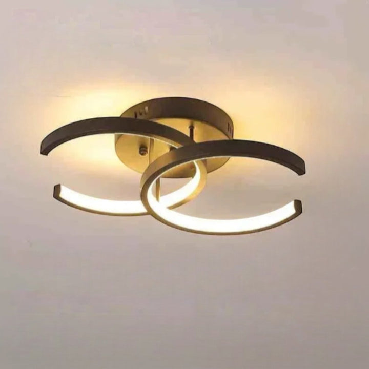 Modern LED Double Ring Flush Mount Ceiling Lamp