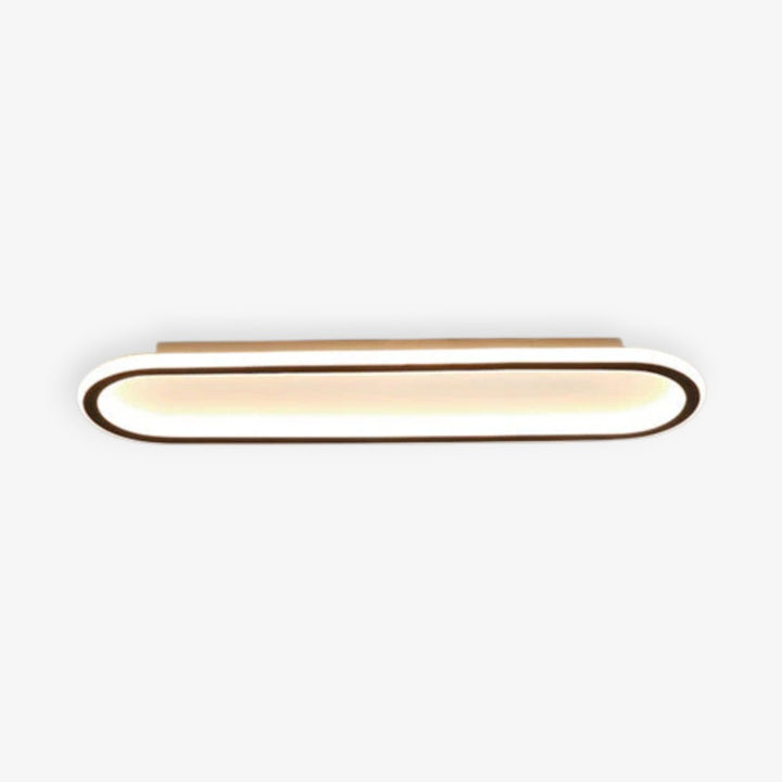 Modern Long Oval LED Flush Mount Ceiling Light