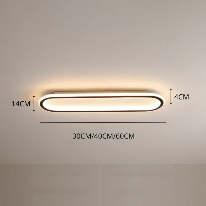 Modern Long Oval LED Flush Mount Ceiling Light