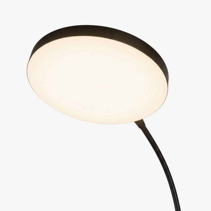 Dimmable Gooseneck Floor Lamp with Adjustable Height