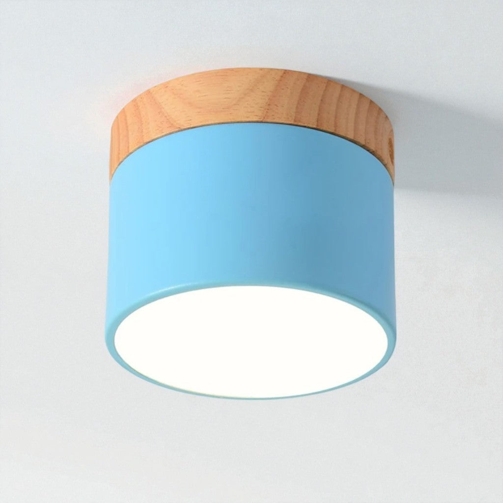 Nordic Small Flush Mount Ceiling Spot Light