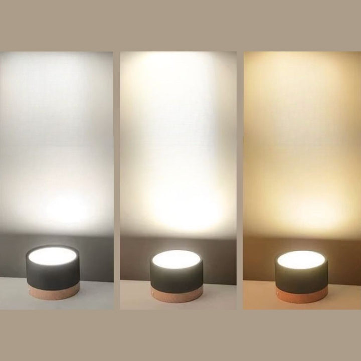 Nordic Small Flush Mount Ceiling Spot Light