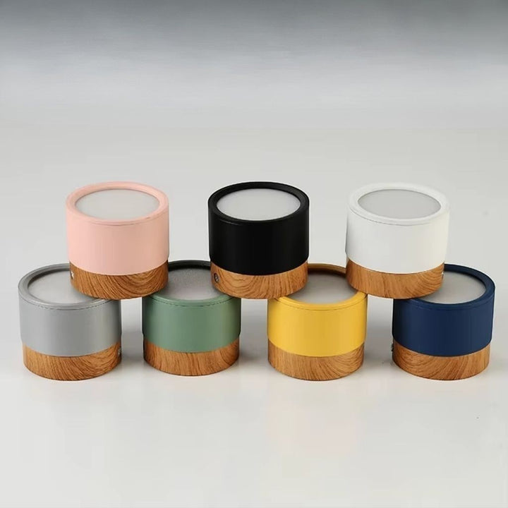 Nordic Small Flush Mount Ceiling Spot Light