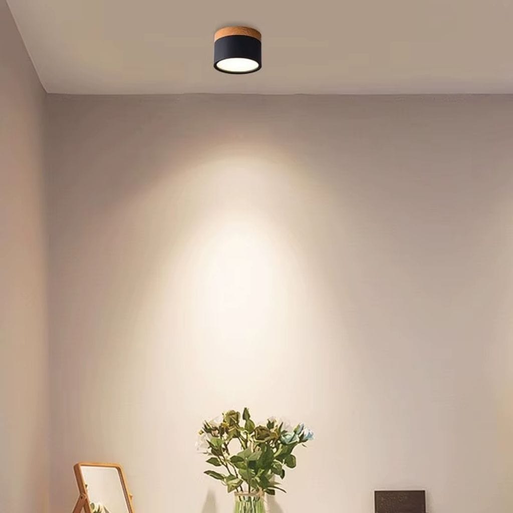 Nordic Small Flush Mount Ceiling Spot Light Boldenn
