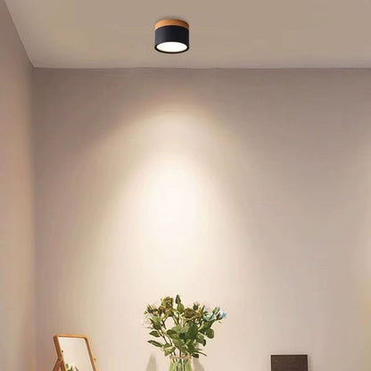 Nordic Small Flush Mount Ceiling Spot Light Boldenn