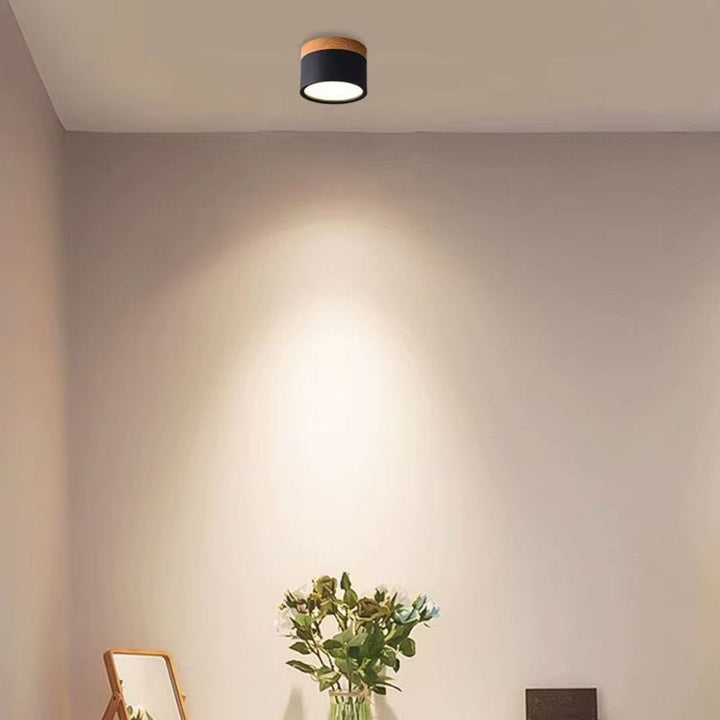 Nordic Small Flush Mount Ceiling Spot Light Boldenn