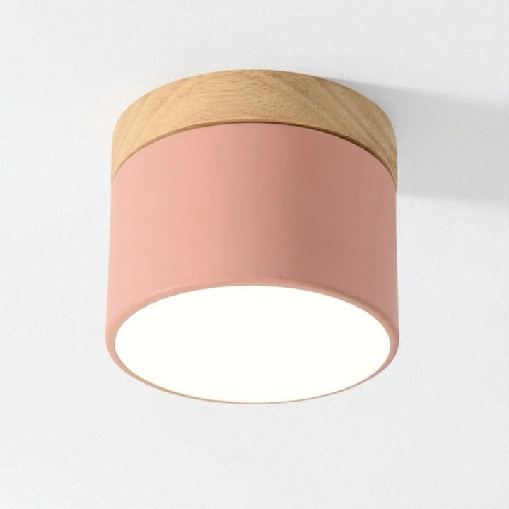 Nordic Small Flush Mount Ceiling Spot Light Boldenn