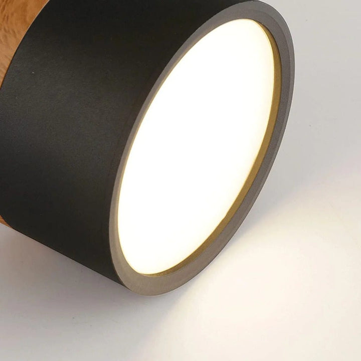Nordic Small Flush Mount Ceiling Spot Light Boldenn