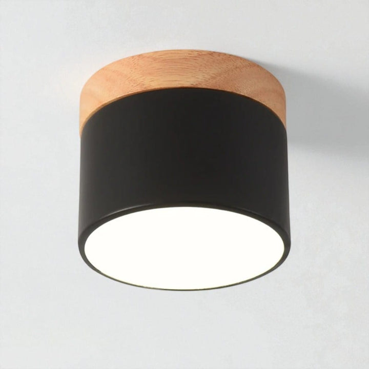 Nordic Small Flush Mount Ceiling Spot Light Boldenn