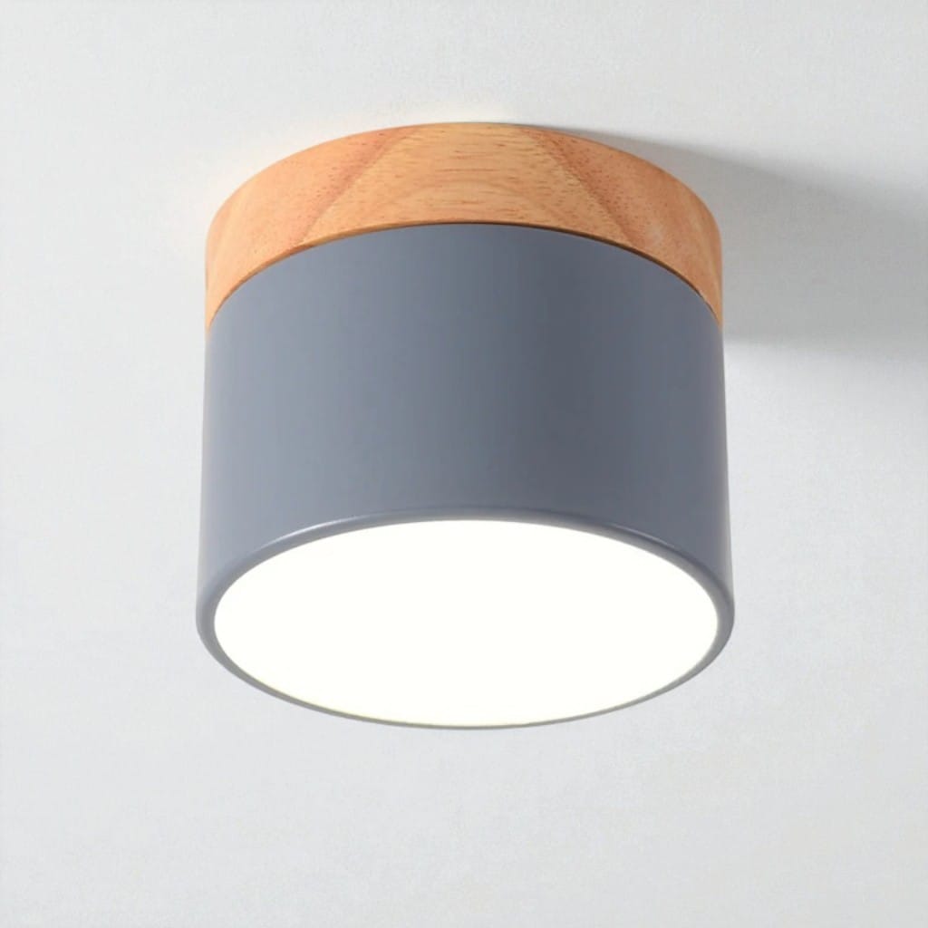 Nordic Small Flush Mount Ceiling Spot Light Boldenn