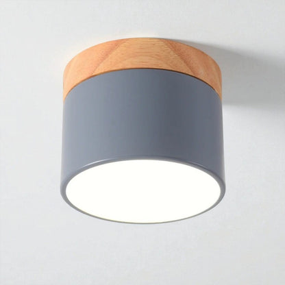 Nordic Small Flush Mount Ceiling Spot Light Boldenn