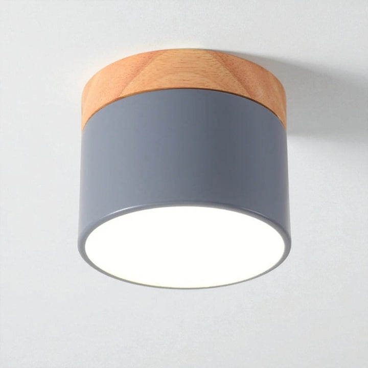 Nordic Small Flush Mount Ceiling Spot Light Boldenn