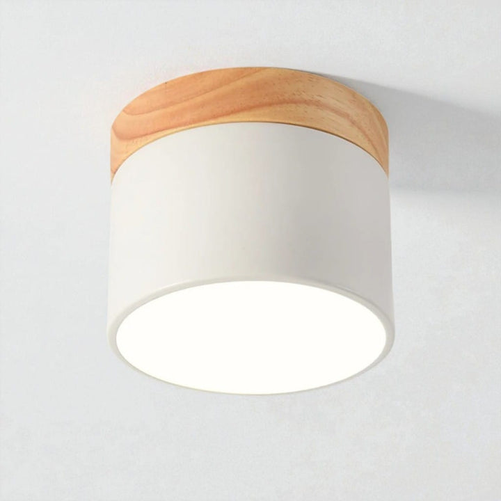 Nordic Small Flush Mount Ceiling Spot Light Boldenn