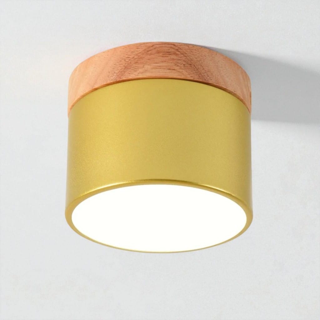Nordic Small Flush Mount Ceiling Spot Light Boldenn