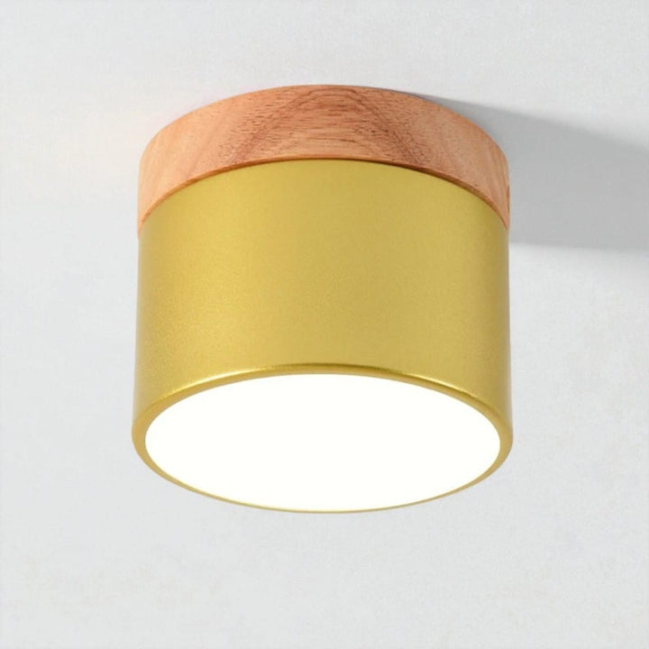 Nordic Small Flush Mount Ceiling Spot Light Boldenn