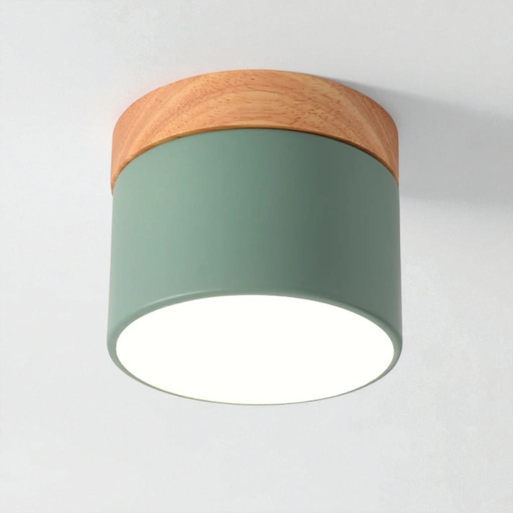 Nordic Small Flush Mount Ceiling Spot Light Boldenn