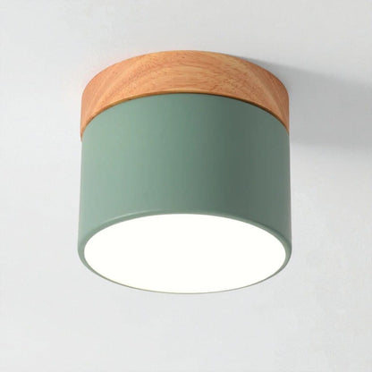 Nordic Small Flush Mount Ceiling Spot Light Boldenn