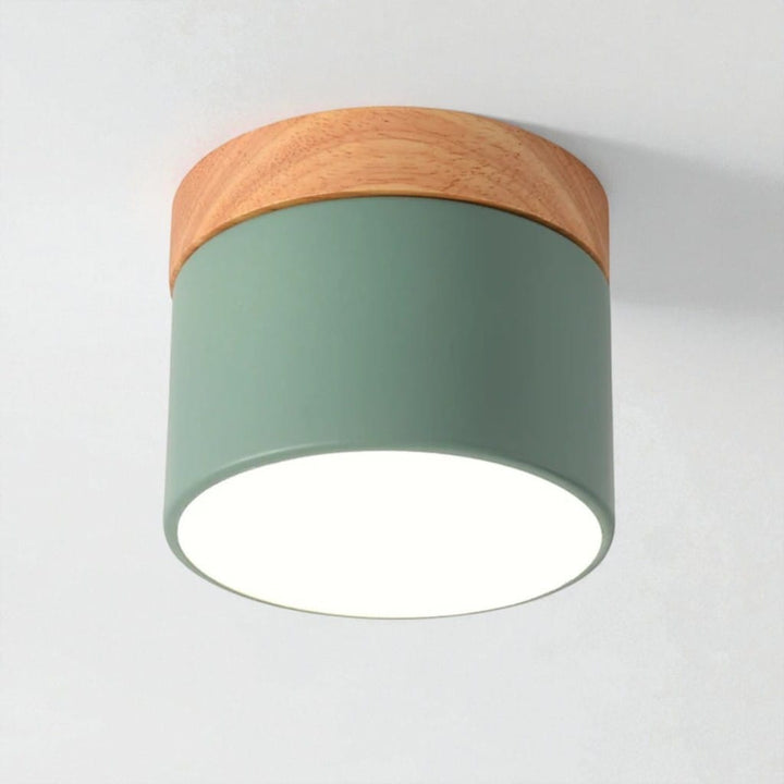 Nordic Small Flush Mount Ceiling Spot Light Boldenn
