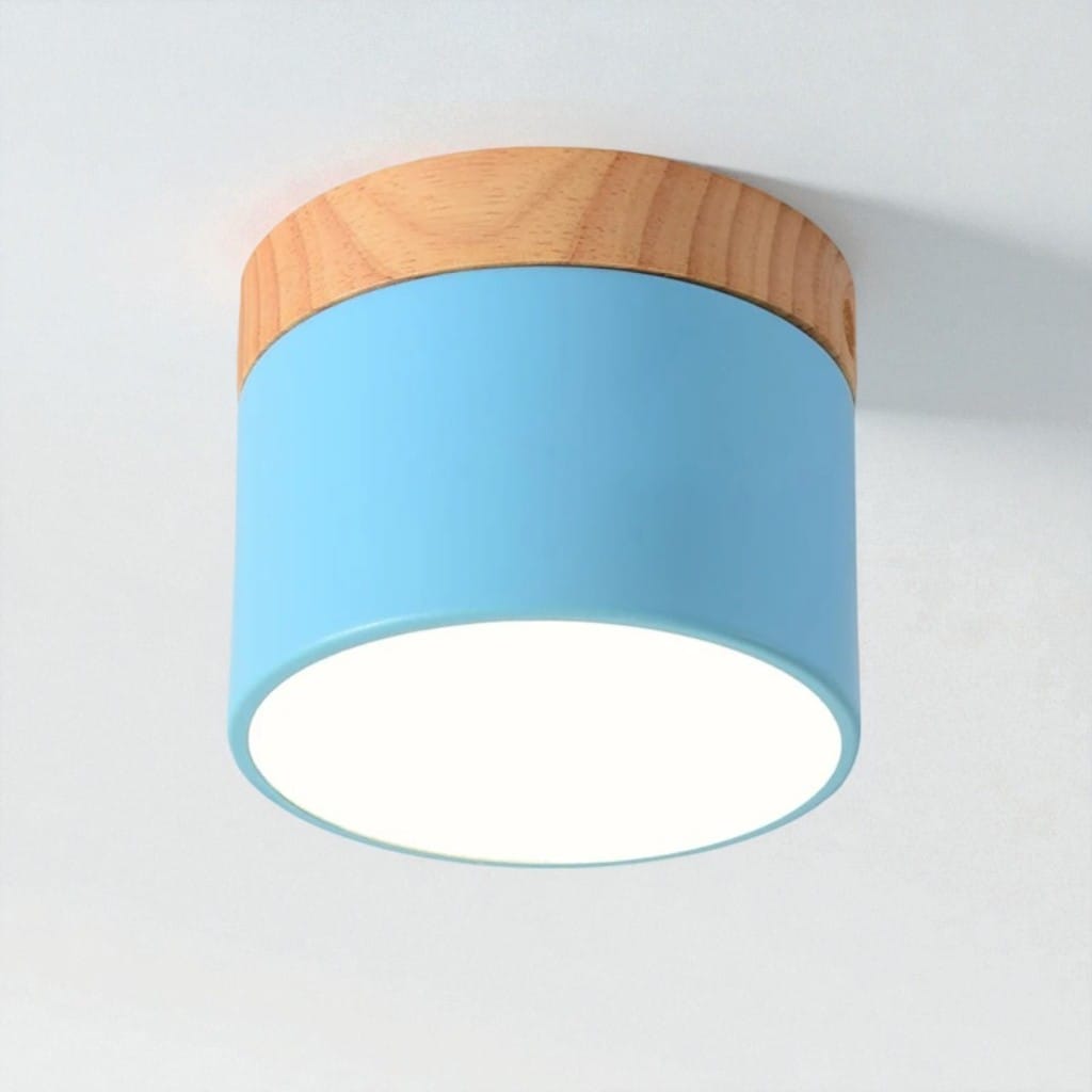 Nordic Small Flush Mount Ceiling Spot Light Boldenn