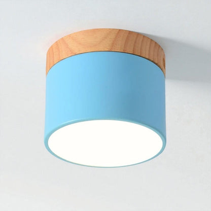 Nordic Small Flush Mount Ceiling Spot Light Boldenn