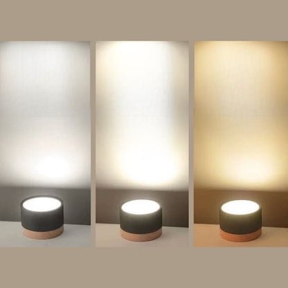 Nordic Small Flush Mount Ceiling Spot Light Boldenn