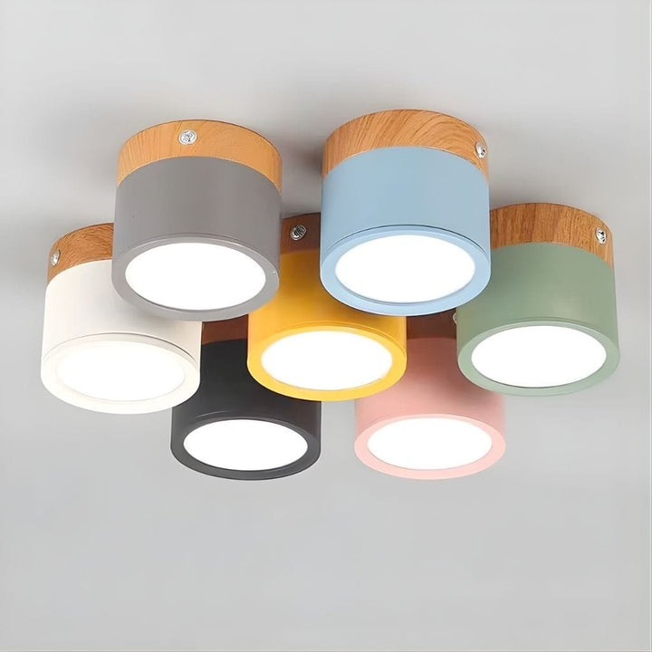 Nordic Small Flush Mount Ceiling Spot Light Boldenn
