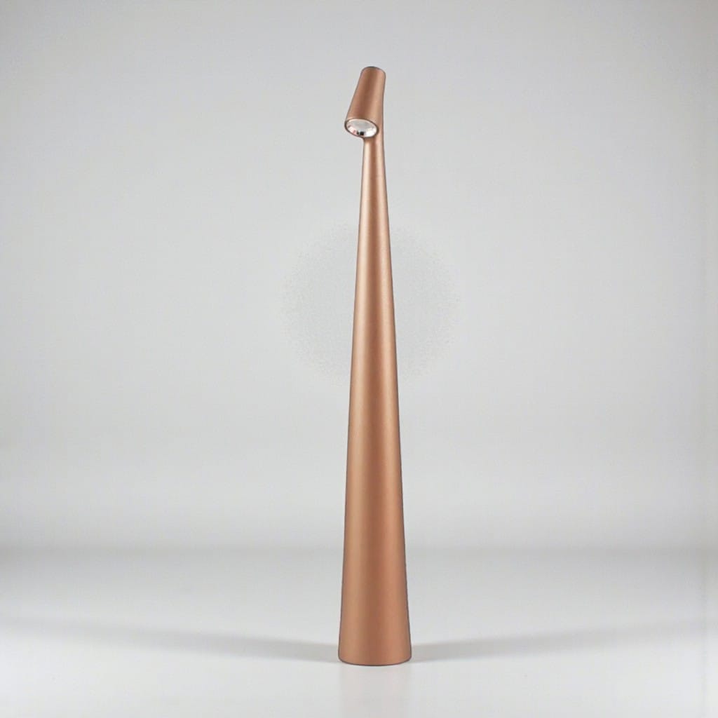 Nordic Touch Cordless Bedside Reading Lamp Boldenn