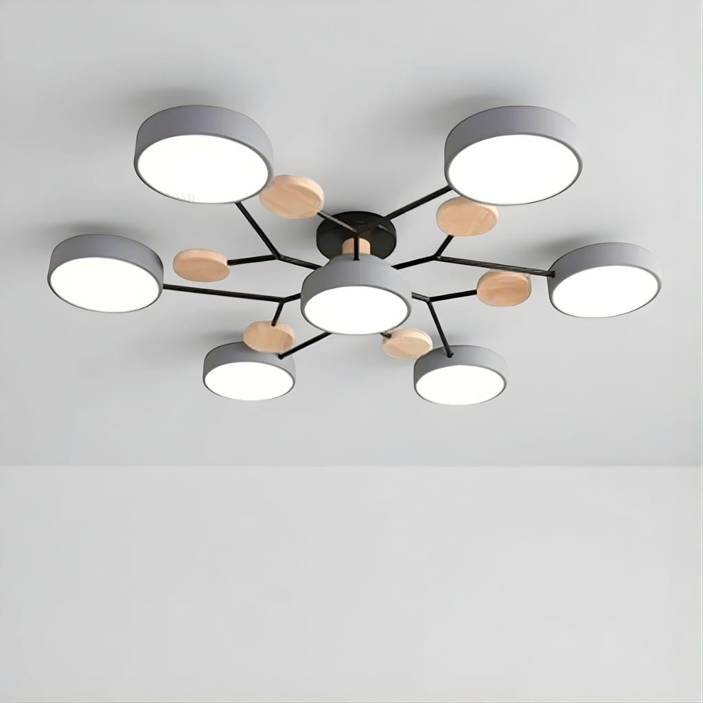 Orbitra Multi Head Circular Living Room Ceiling Light Boldenn