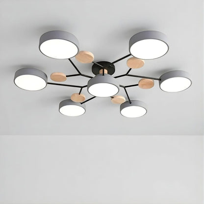 Orbitra Multi Head Circular Living Room Ceiling Light Boldenn