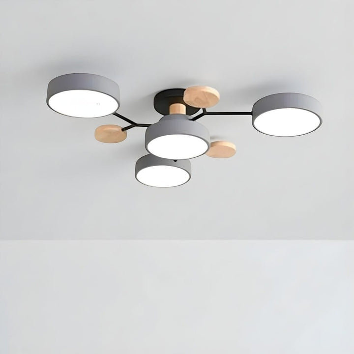 Orbitra Multi Head Circular Living Room Ceiling Light Boldenn
