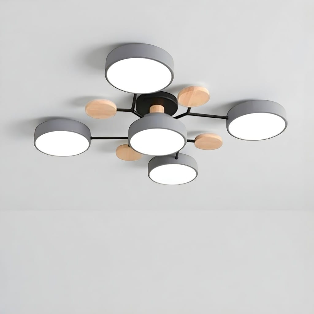 Orbitra Multi Head Circular Living Room Ceiling Light Boldenn