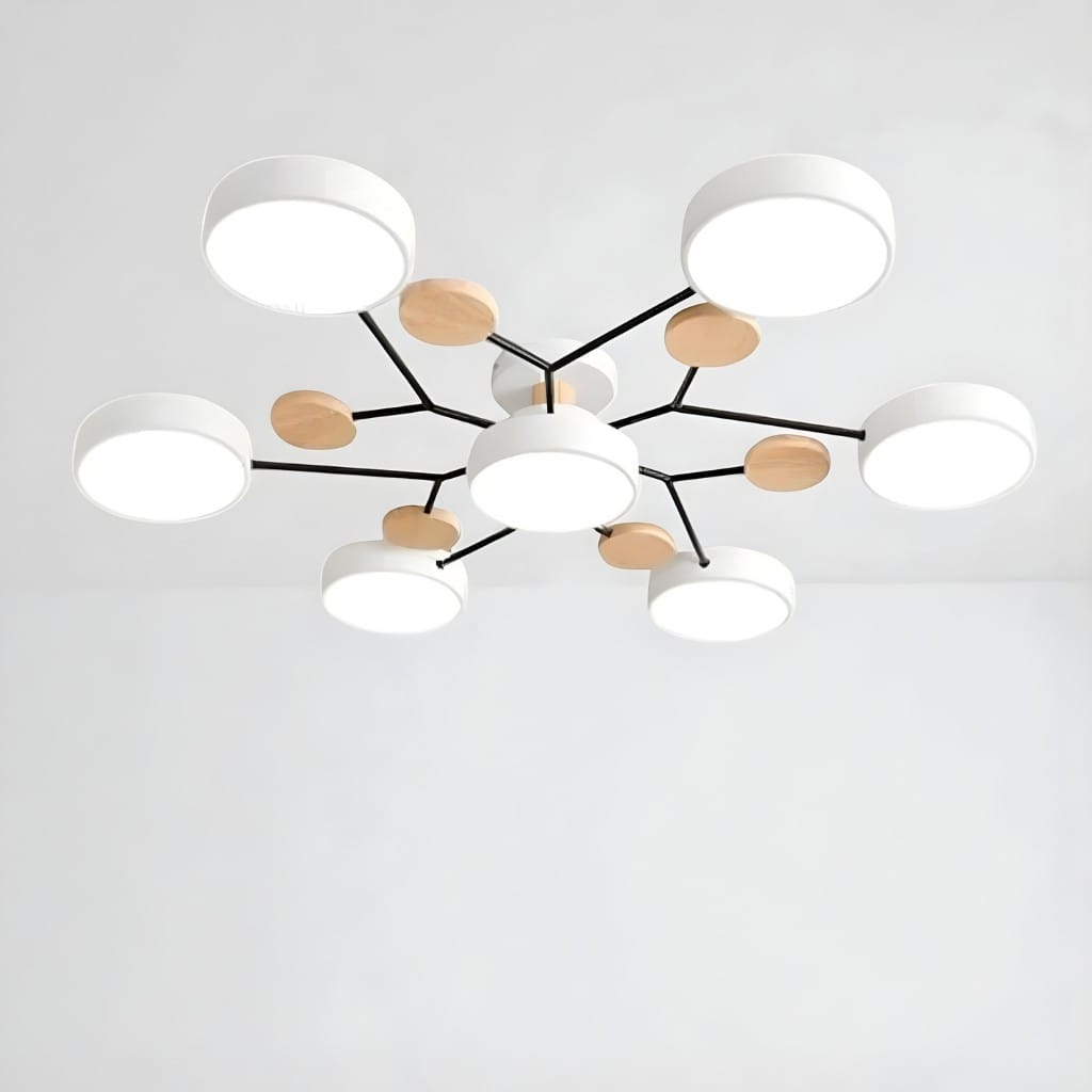 Orbitra Multi Head Circular Living Room Ceiling Light Boldenn