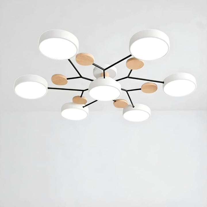 Orbitra Multi Head Circular Living Room Ceiling Light Boldenn