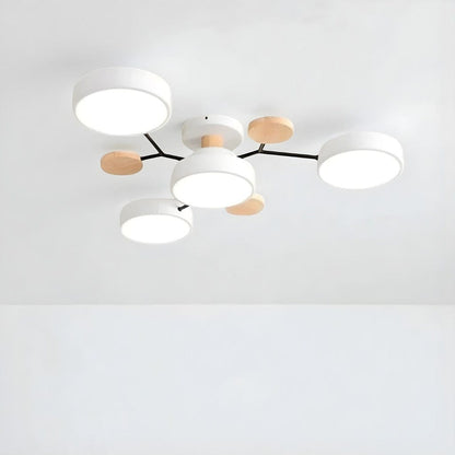 Orbitra Multi Head Circular Living Room Ceiling Light Boldenn