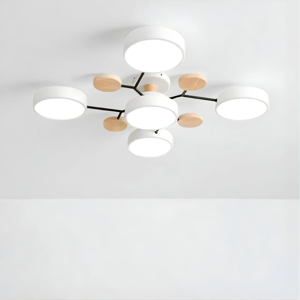 Orbitra Multi Head Circular Living Room Ceiling Light Boldenn