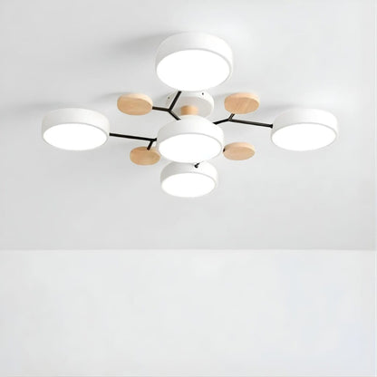 Orbitra Multi Head Circular Living Room Ceiling Light Boldenn